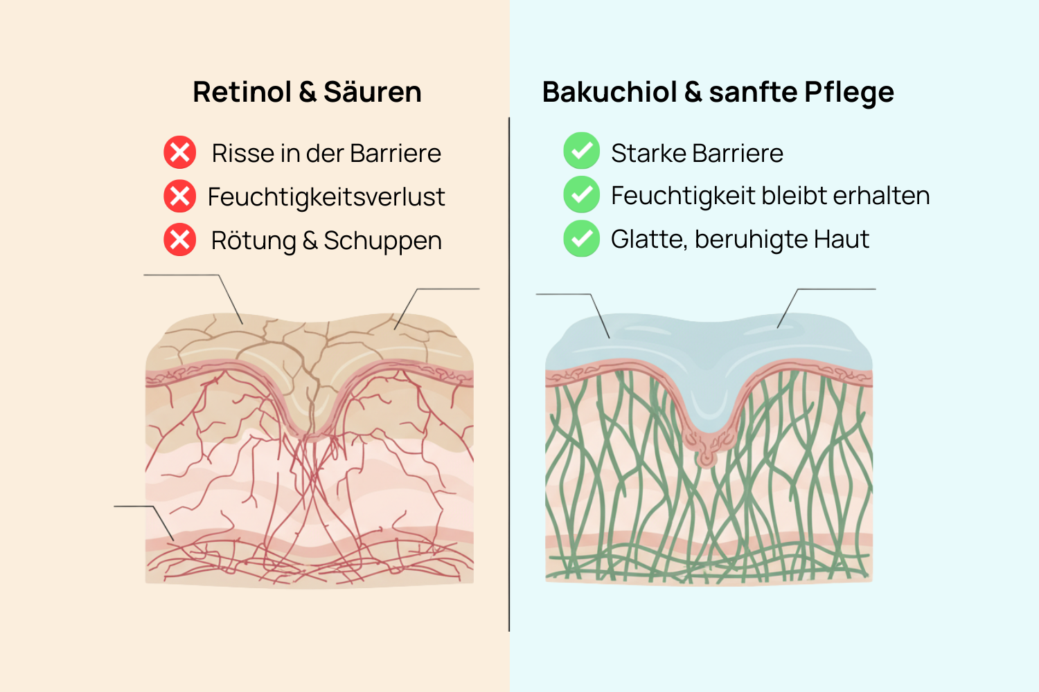 Ist Bakuchiol wirklich so effektiv wie Retinol?