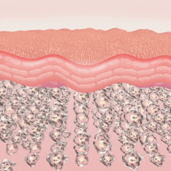 Deine Haut kann sich nachts selbst erneuern – wenn sie die richtigen Signale bekommt